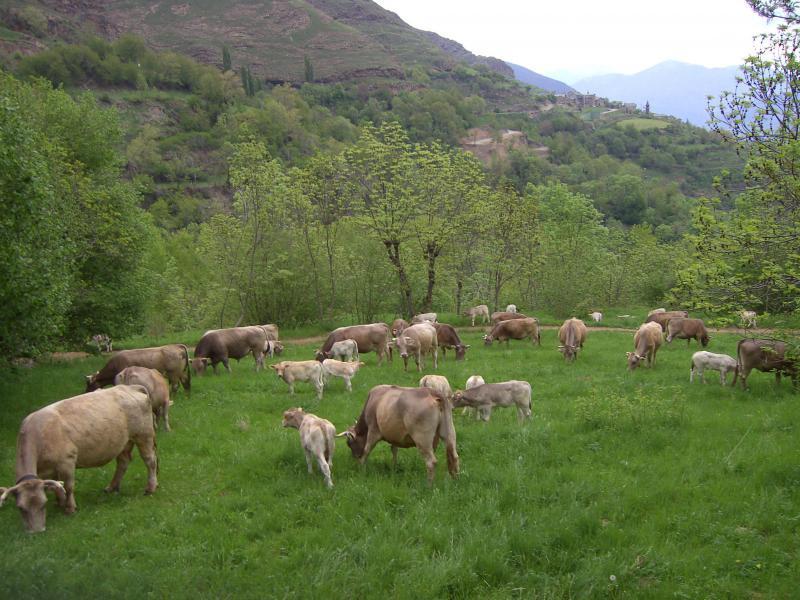 Casa Rogel Vendégház Llesuy Kültér fotó